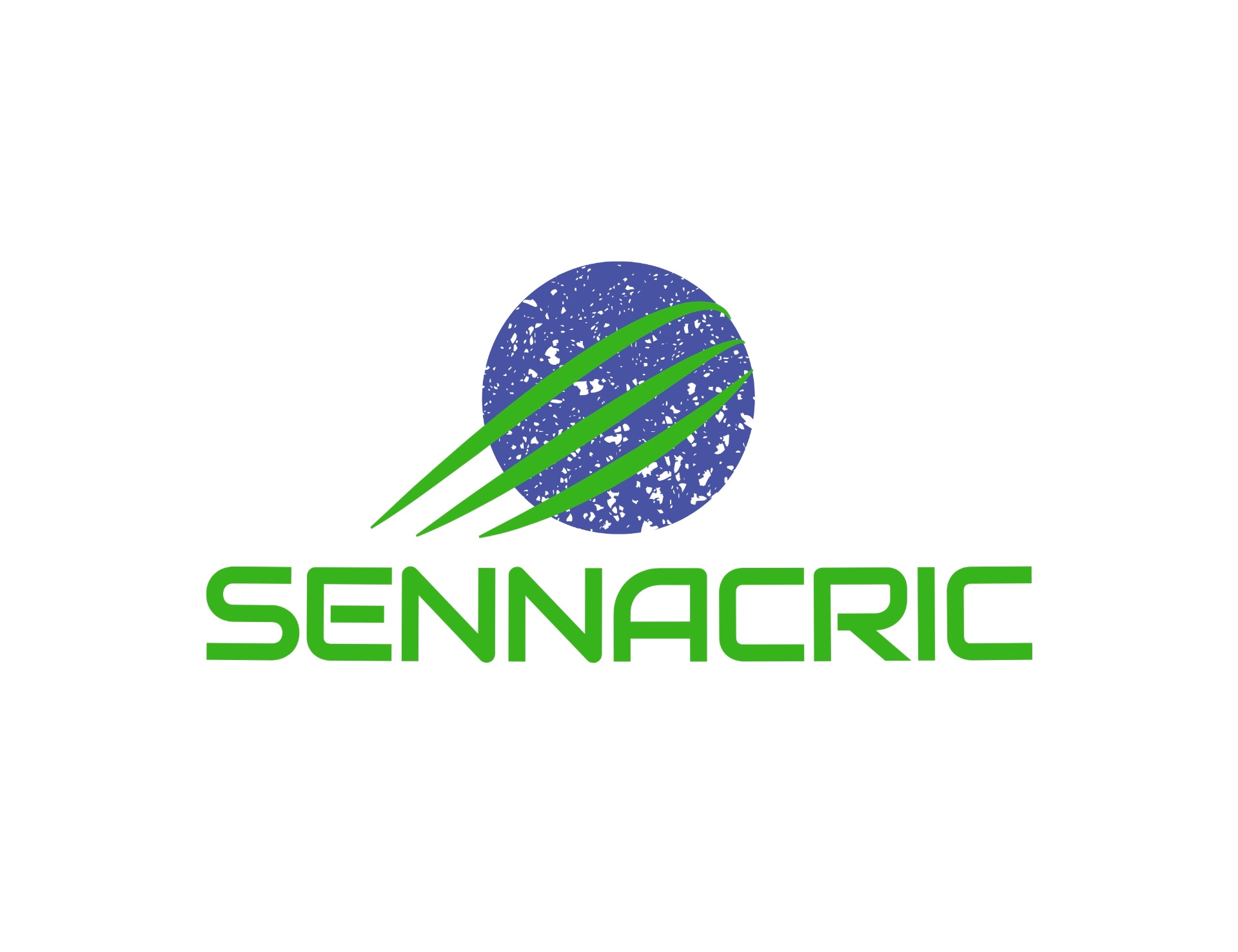 Senna Cricket Academy